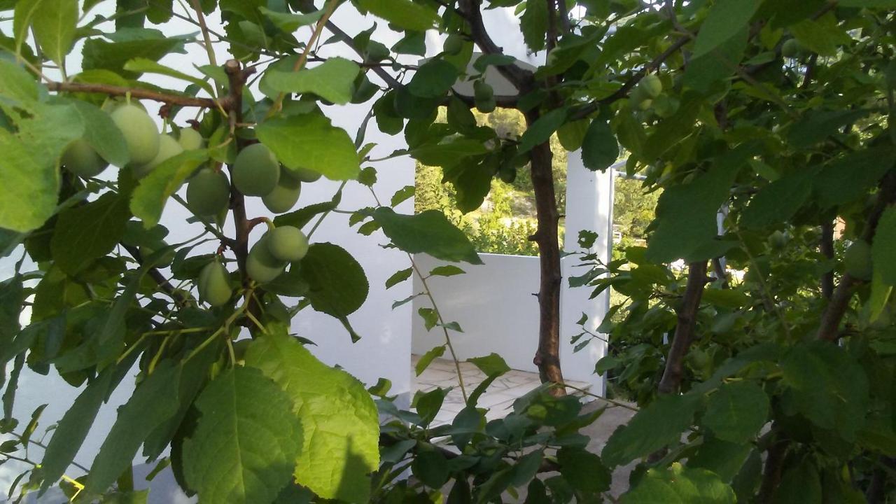 Kuca Za Odmor Maka Vila Kučiće Exterior foto