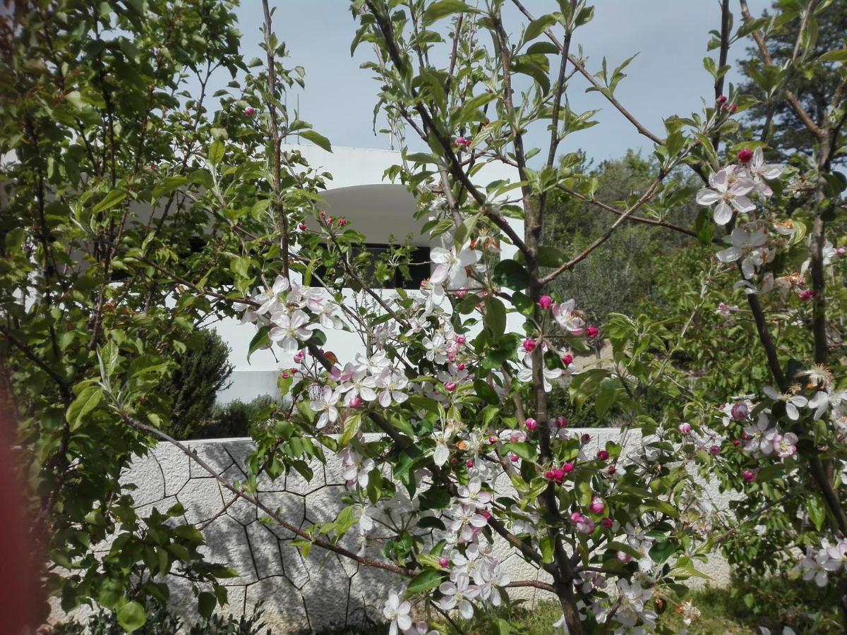 Kuca Za Odmor Maka Vila Kučiće Exterior foto