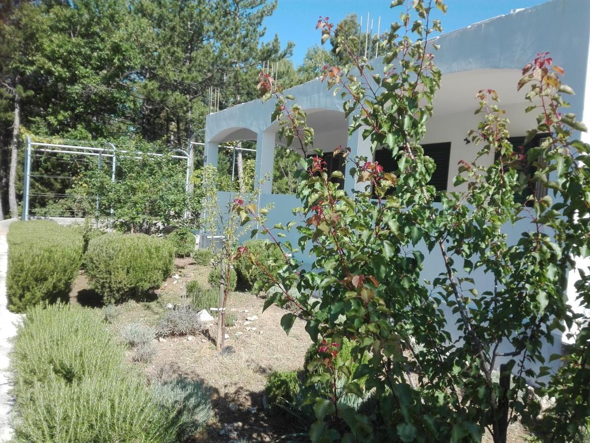 Kuca Za Odmor Maka Vila Kučiće Exterior foto