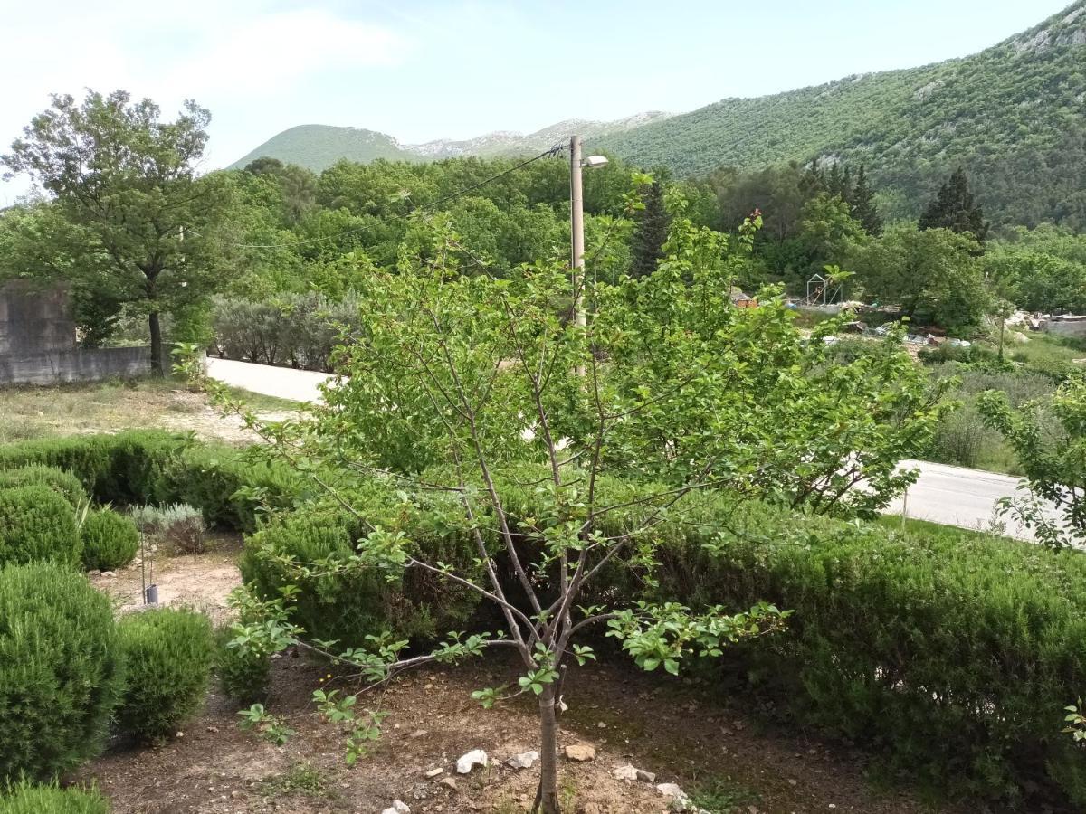 Kuca Za Odmor Maka Vila Kučiće Exterior foto